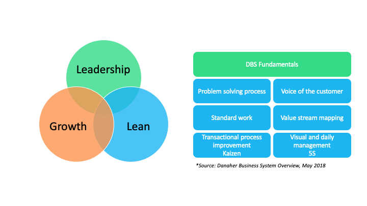 problem solving process danaher